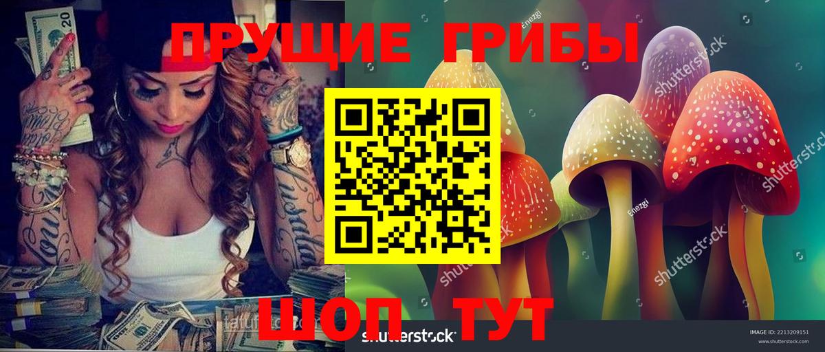 Галлюциногенные грибы Psilocybe Крымск