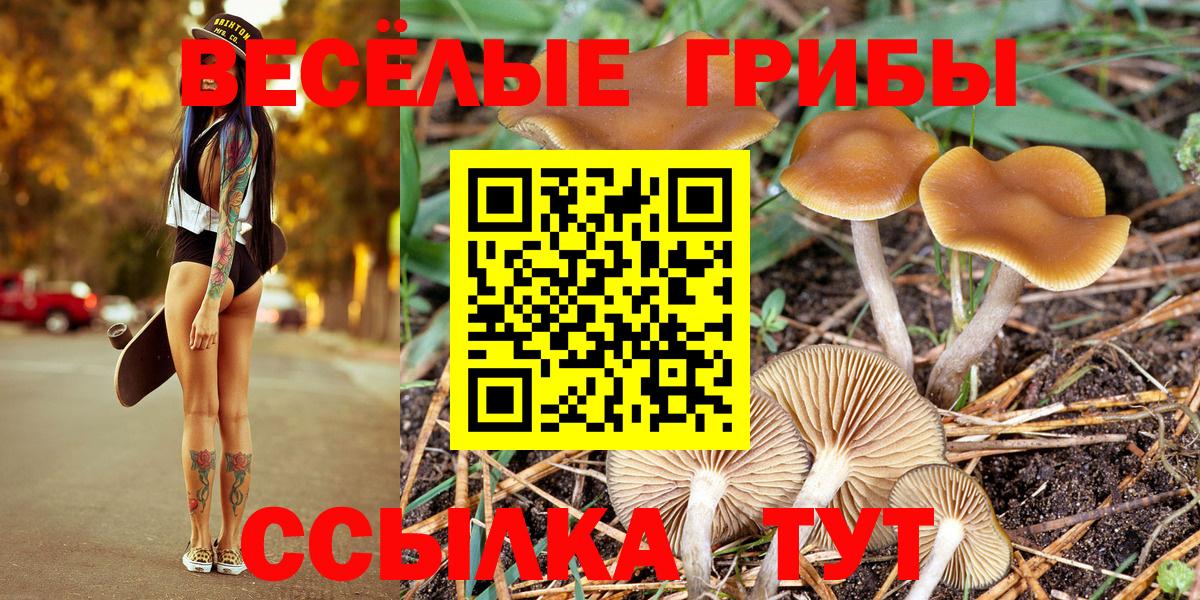 Крымск  Галлюциногенные грибы мухоморы  Вход с VPN 
